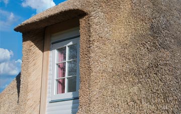 Higher Downs thatch roof disadvantages